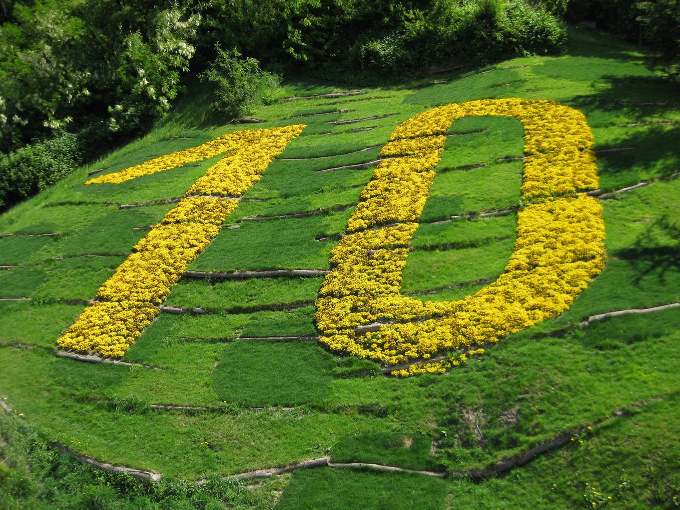 APPLICATIONS FOR RELIEF FROM SANCTIONS: 10 KEY POINTS – Civil ...